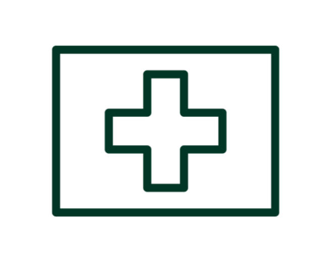 Swiss flag icon
